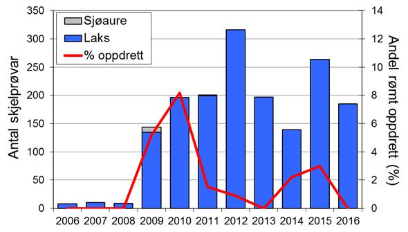 Etter tre år med heller dårlege fangstar i 2008-2010, auka fangstane att, og i 2012 vart det fanga 1144 laks, det klart beste resultatet for Årdalselva.