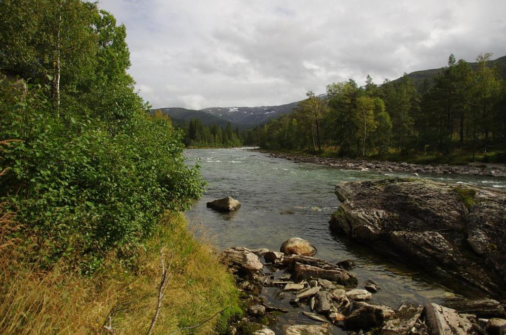 Figur 7 Raundalselvi ved Reimegrend stasjon 1.1.7 Bjørke Ved utløpet av Raundalen mot Bjørkemoen/Bømoen, området ved skytebanen. 100 m.o.h.