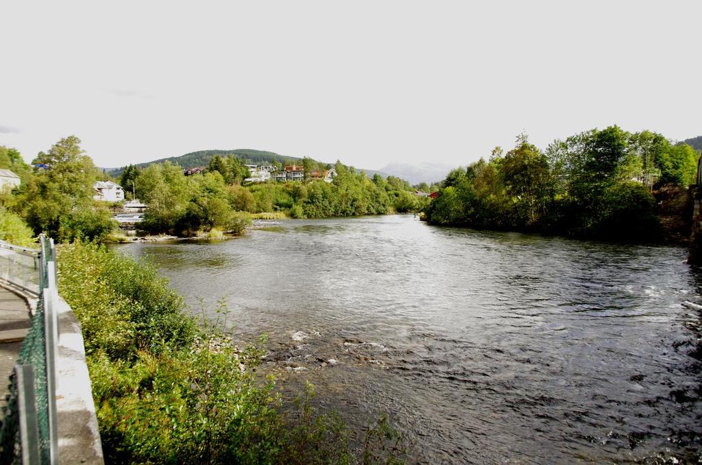 1.1.8 Elvemøte Vossevangen Samløpet av Strondaelv og Raundalselv er om lag 1.7 km ovanfor utløpet Vangsvatnet (Figur 10).