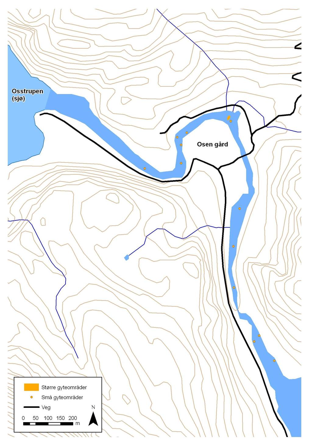 Figur 3. Gyteområder lokalisert ved dykkerobservasjoner i Osenvassdraget på elvestrekningen mellom utløpet ved sjø og opp til Svardalsvatnet sommeren 2009.