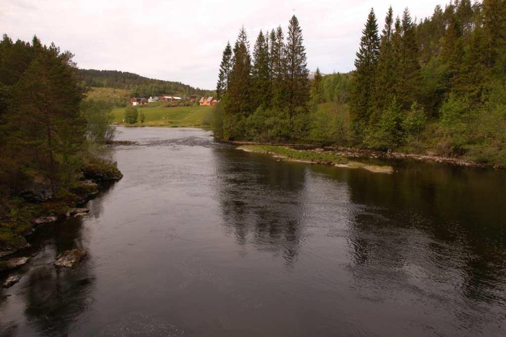 Tilgjengelig gyteareal på denne strekningen er beregnet til 800 m 2, noe som tilsvarer 3,1 % av