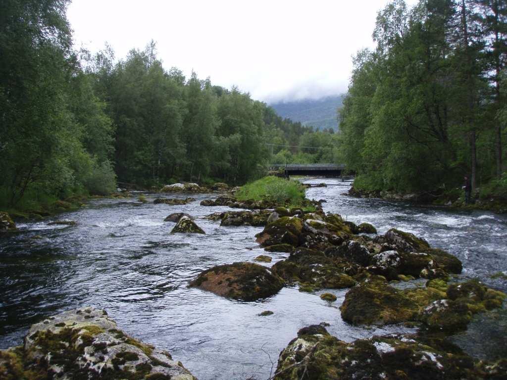 Strekningen Krokstadvatnet og opp til vandringshinderet ved Sagefossen kraftstasjon Elvestrekningen fra Krokstadvatnet og opp til vandringshinderet ved Sagefossen kraftstasjon, er ca 400