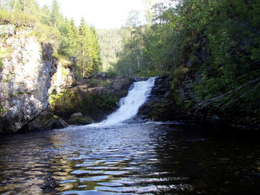 Strekningen Langedalselva og Agledalselva: Vandringsinderet i Langedalselva (oppe til venstre) og Agledalselva (oppe til høyre).