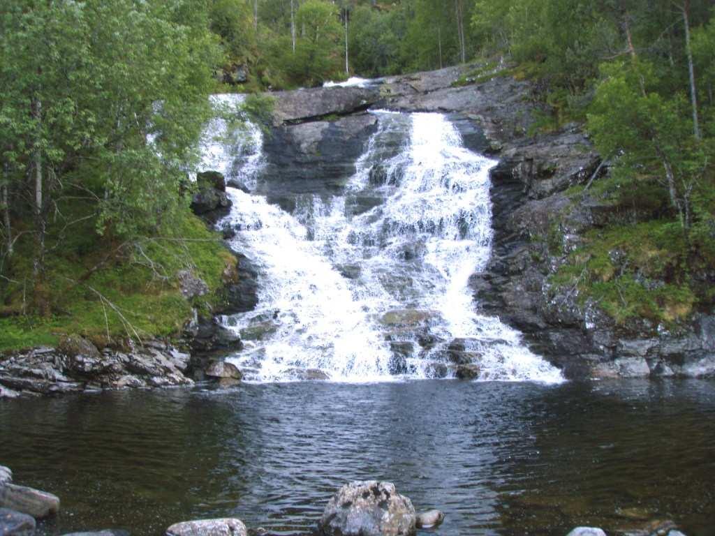 Det ble observert gytefisk av laks på dette gyteområdet i november 2009. 4.2 Etablering av et nytt gyteområde på utløpet av Svardalsvatnet (Osvatnet) Det ble lagt ut totalt ca.