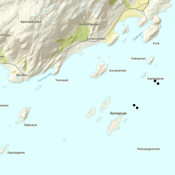 Mattilsynet Distriktskontoret for Salten Mattilsynet har gitt tillatelse til etableringen den 11.07.2014.