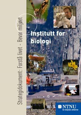 1 Department of Biology: strategy 2011-2013 Forstå livet - Bevar miljøet 2007-2013 2 From IBI s strategy plan 2007-2013 Forskning IBI skal: være et internasjonalt ledende institutt i både forskning