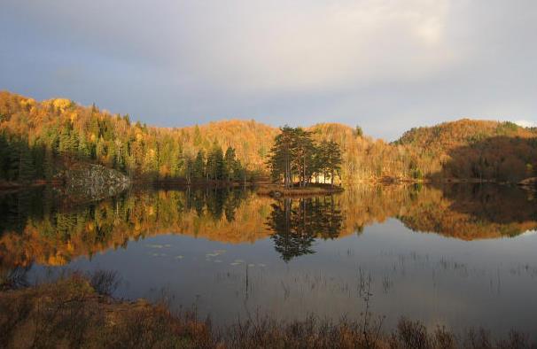 Frivillig vern Bjellandshaugane, Arendal kommune. Vernet i 2009.