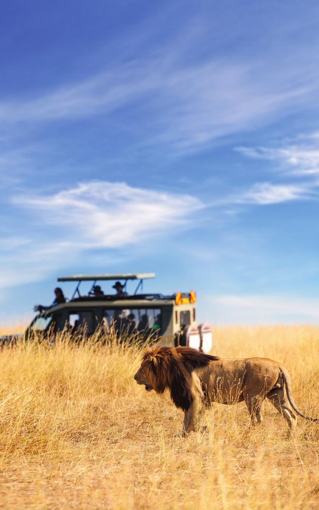 Ettermiddags-game drive i Welgefonden Utforsk Kololo i ditt eget tempo eller slapp av ved bassengkanten og gled deg over de vakre omgivelsene og dyrelivet som omgir deg.