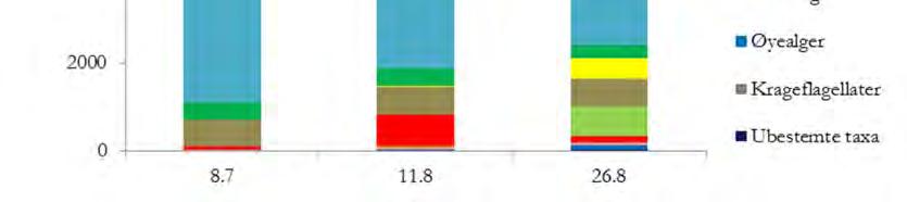 Fargene for gjennomsnittsverdiene tilsvarer tilstandsklassene etter Klassifiseringsveilederne (Veileder 97:04 for turbiditet, farge, TOC og Veileder 02:2013 for Tot-P, Tot-N, klorofyll a og siktedyp)