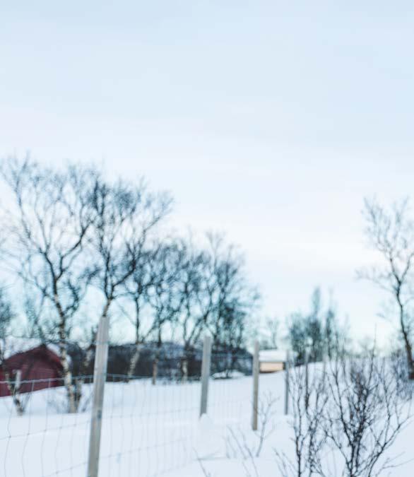 STYRING OG KONTROLL ( FOKUSERT ) Troppssjef både militært og sivilt Liv Engholm Troppssjef i Heimevernet Liv Engholm er troppssjef i sanitetstroppen til innsatsstyrken «Ida & Lyra» i Finnmark.