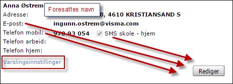 Da dukker et fanebasert elevkort opp: Info, Foresatte, Fravær, Anmerkninger, Karakterer, Vurdering, Grupper, SFO/Fakturering, Meldinger, Samtykke.