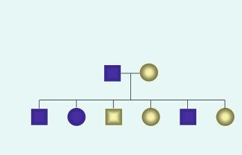 Genomscreening figur 1 figur 2 figur 3 figur 4 figur 5 figur 6 figur 1 6.