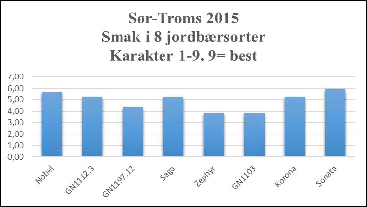 Figur 5: Smakstest i 8 jordbærsorter i Sør-Troms 2015. Test gjennomført den 25.08.2015 Resultater fra Alta 2015: Feltet i Alta hadde svært mye utfrysing vinteren 2014/2015.