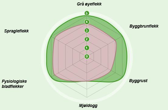 Aviator Xpro BYGG Bredspektret middel i bygg -