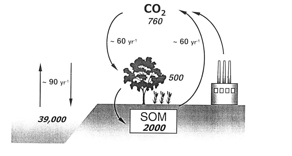 Den globale karbonbalansen (milliarder tonn C) Atmosfæren Fossilt brensel og