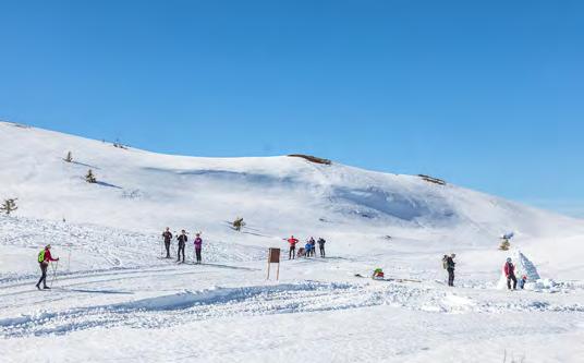1. PÅSKEDAG 16. april 1000-1600 VALDRES ALPINSENTER - Åpent, skiutleie og skiskole Alpin cafe åpen 1300 Det store påskebadet!
