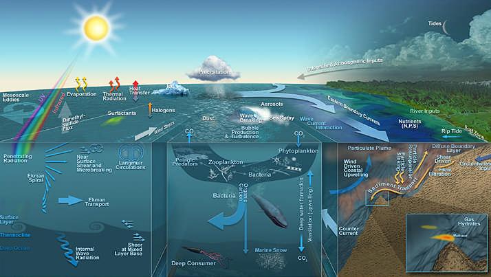 Ocean Sciences: IOC and the protection of the Oceans Main science challenges / activities in which IOC is