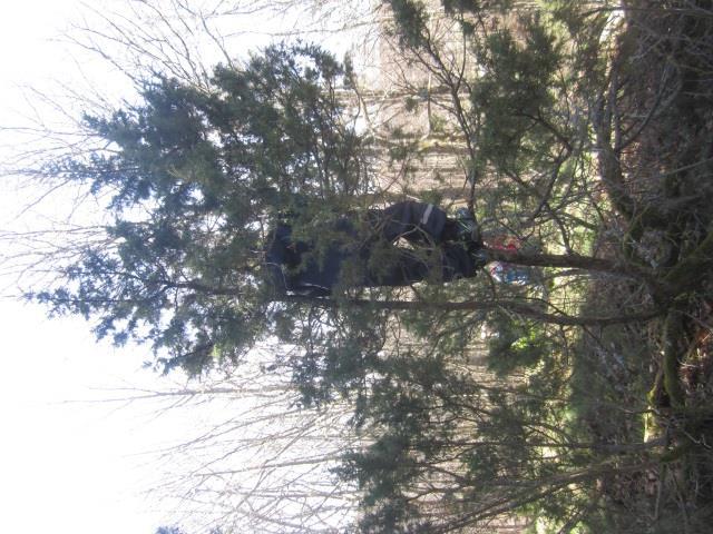 klatring i trær, ringleker og