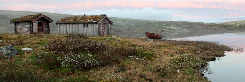 Norsk institutt for naturforskning Norsk Institutt for Naturforskning (NINA) er en uavhengig stiftelse som forsker på natur og samspillet natur samfunn.