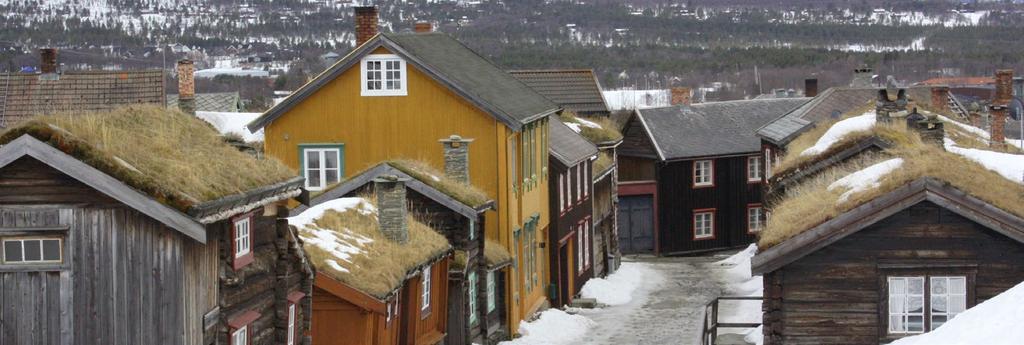 Lokal næringsutvikling Lokale næringsaktører og representanter for turist- og kulturnæringa på Røros mener det er store utviklingsmuligheter, og det er mye man kunne ha satset på i regionen.