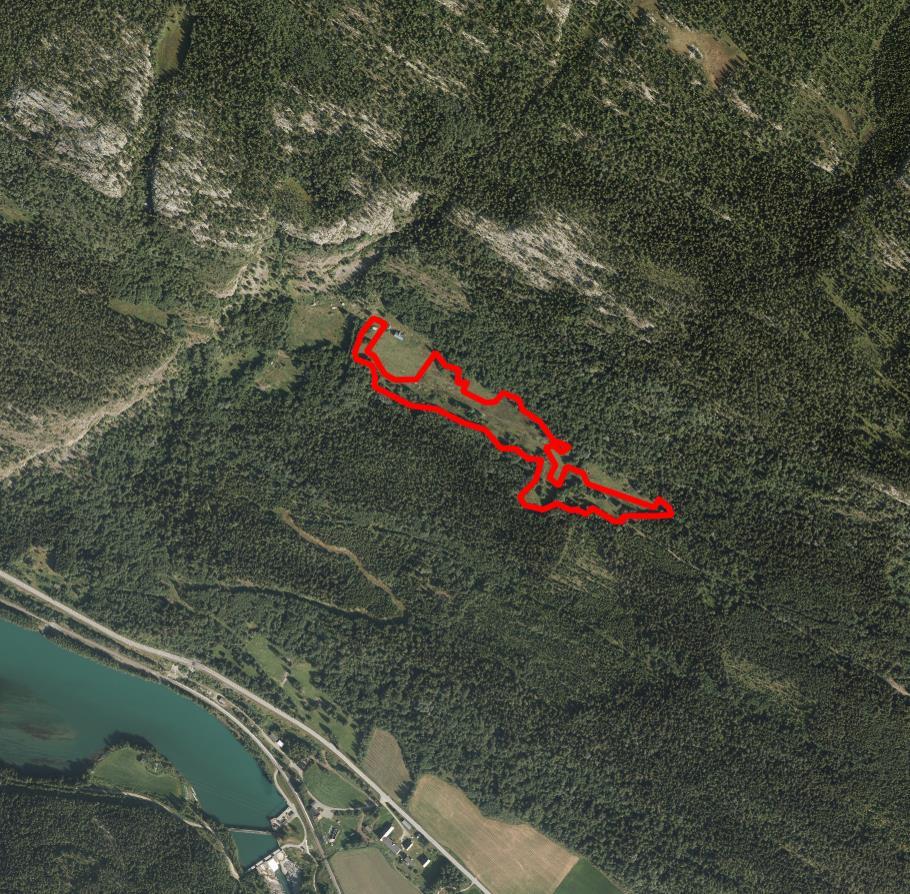 FAKTABLAD FOR NATURTYPELOKALITET SKAR, SØR-FRON KOMMUNE Lokalitetsnavn: Skar ID Naturbase: BN00022058 (gammelt navn Skard østre, naturbeitemark) Kommune: Sør-Fron Gnr/bnr: 55/9, 50/14 UTM 33