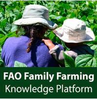 Kunnskapsplattformen samler digitalisert informasjon om familielandbruk fra hele verden; inkludert nasjonale lover og forskrifter, offentlig politikk, beste praksis, og statistikk, forskning,