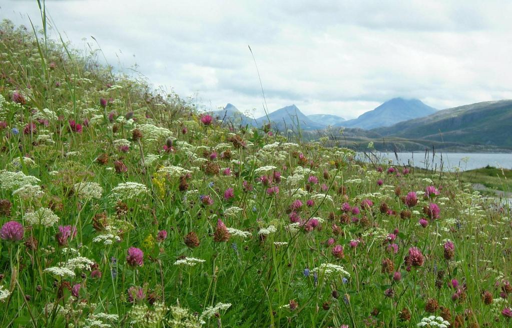 Biologisk mangfold Herlaugshaugen