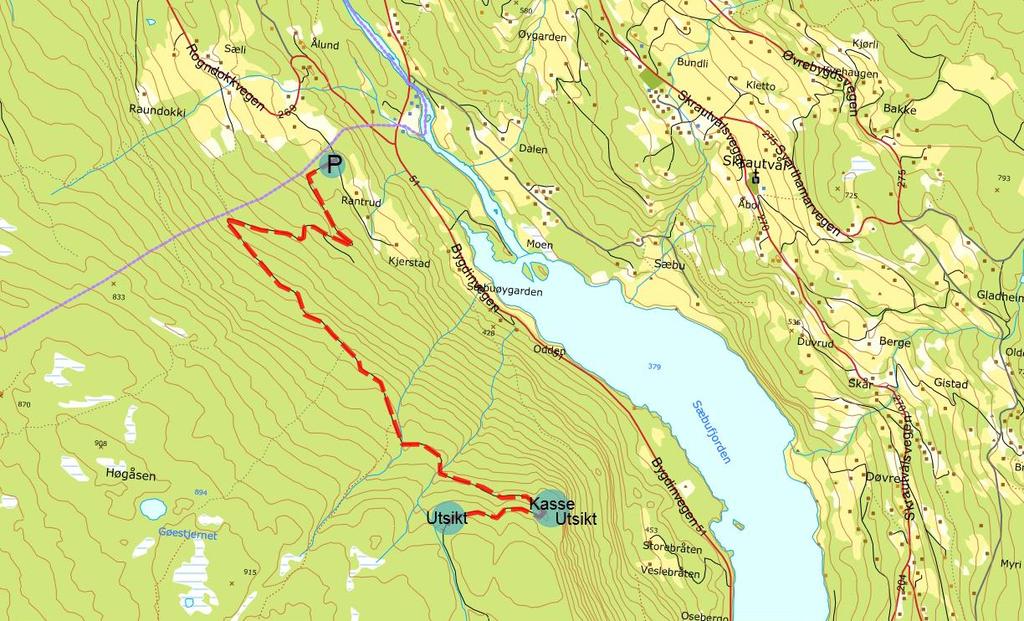 7 Fodneskampen* Kjørebeskrivelse: Fra Fagernes, kjør fylkesveg 51 Bygdinvegen mot Beitostølen ca 7 km.