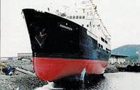 Finnmarken fremstår imidlertid som prototypen på en serie hurtigruteskip som ble satt i drift på slutten av 50-årene og i første halvdel av 60-årene.