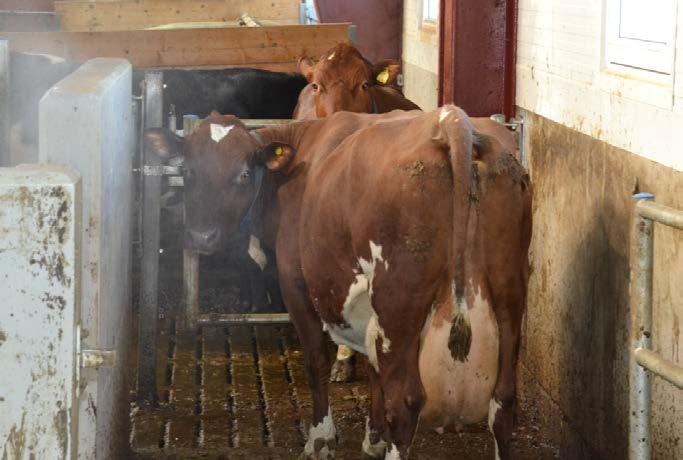 Det spesielle med driftsbygninger Økt forekomst av eller bruk av vann, høy