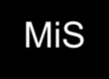 MiS 12 elementer: Overordnet enhet som representerer en type levested eller