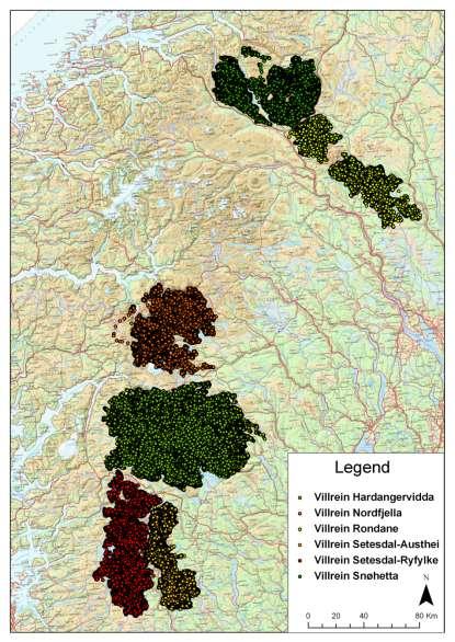 De forskjellige prosjektene Hardangervidda og Nordfjella; Oppstart 2001/ 2007 Setesdalsområdene; Oppstart 2006, avsluttes 2010 Snøhetta; Oppstart 2008- avsluttes i 2012 Rondane; Oppstart i 2008-2009,