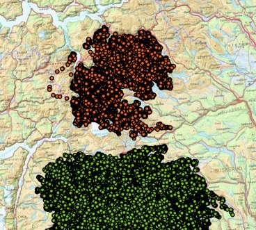 Nordfjella 6000 5000 Antall reinsdyr 4000 3000 2000 1000 0 1970 1975 1980 1985 1990 1995 2000 2005