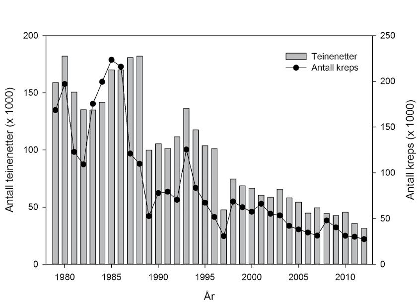 Figur 1. Teineinnsats (antall teinenetter) og fangst av kreps (antall) i Steinsfjorden 1980-2012. del kreps skiftet skall andre gang og ble mer fangbare.