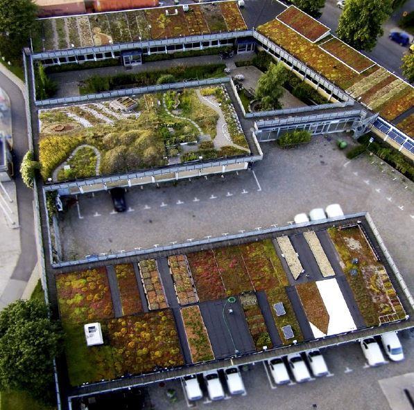 Scandinavian Green Roof Institute (SGRI) er et kompetansesenter for grønne tak og vegger som ligger i Augustenborg Botaniske