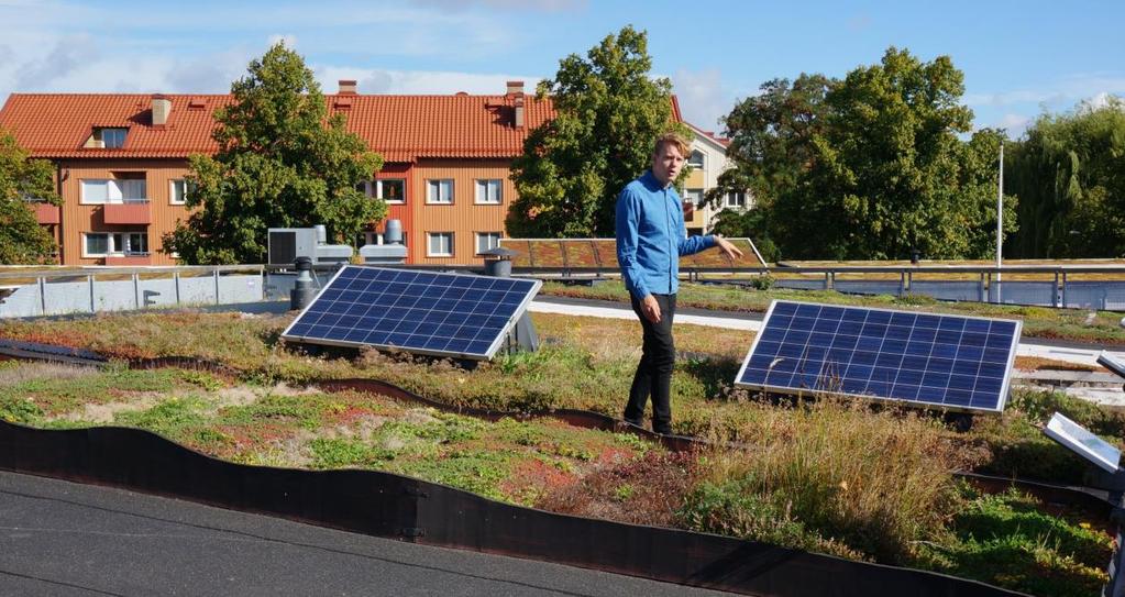 Kompetansenteret jobber med å utvikle og formilde kunnskap om hvilke muligheter som finnes innenfor grønne tak.