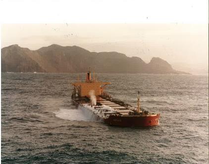 6 Case 1 Arisan Bulkskipet Arisan på 135 748 DWT er fullastet med jernmalm og seiler sørover fra Narvik 28. april 2014.