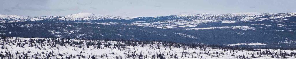 Birkebeinerrennet Birkebeinerrennet er 54 km, klassisk