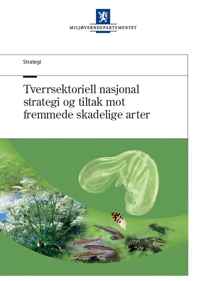 Kort historikk Før 2007: Spredt og tilfeldig