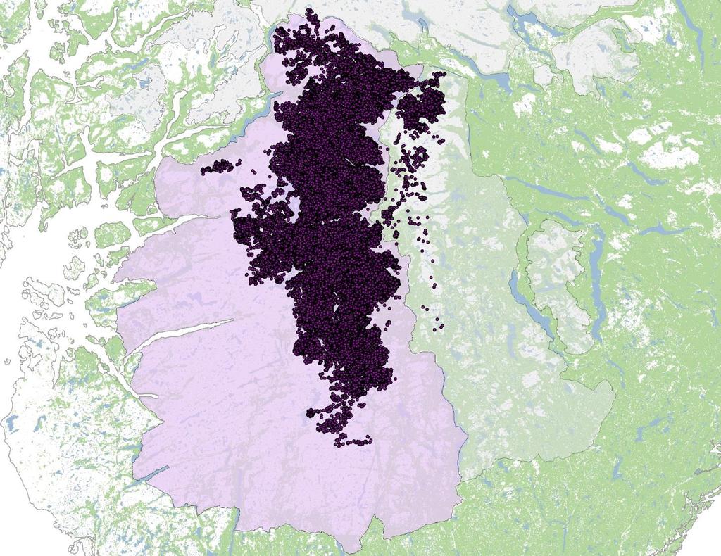 Figur 1: Samtlege GPS- data på tre timars intervallar som er samla mellom mars 2006 og januar 2017 i Setesdal Vesthei. Datasettet omfattar i alt 57 ulike reinsdyr.