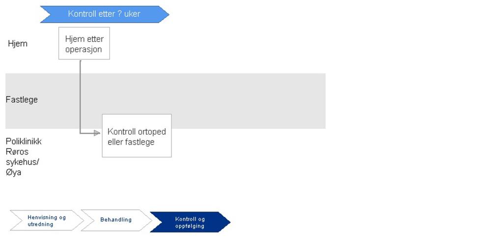 Ref.: Standardisert pasientforløp: Ortopedisk dagkirurgi