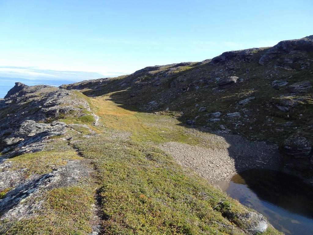 c). De opptrer også som dype og brede kløfter der de kommer ut i dagen langs overkanten av den markerte kløften i starten av tunneltraséen i nord. (tegning 01 og tegning 02).