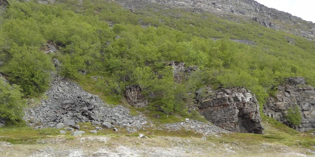 pel 420 og frem til påhugg. Terrenget varierer mellom knauser av berg og kløfter med løsmasser.