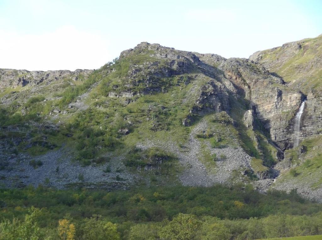 Terrenget i påhuggsområdet er en bratt fjellskråning dekket av urmasser, med stedvis blottlagte bergknauser (foto 11).