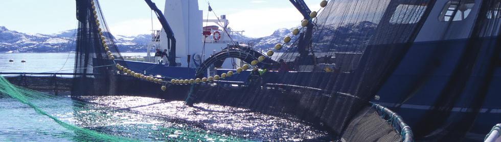 Det er viktig at hendelser der fisk rømmer, fører til erfaringsutveksling mellom havbruksselskaper. Selskapene i Lerøy Seafood Group deltar i fora der erfaring og kompetanse utveksles mellom aktører.