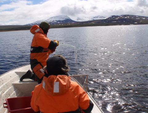 NTNU Norges teknisk-naturvitenskapelige