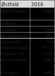 BF Østfolds årsmøte 15. februar 2017: Økonomi Vi har ikke hatt noen aktivitet utover det planlagte i aktivitetsplanen for 2016.