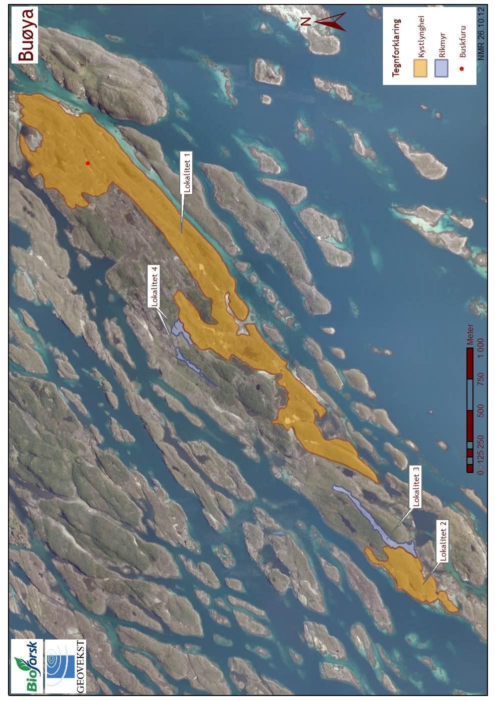 Figur 2. Ortofoto med oversikt over beliggenhet av lokalitetene på Buøya. Lokalitet 1 og 2 er kystlynghei, og lokalitet 3 og 4 er rikmyr.