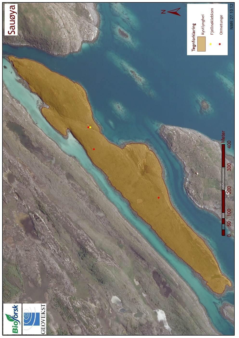 Figur 6. Ortofoto med oversikt over Sauøya kystlynghei samt forekomster av rødlisteartene ormetunge og fjellnøkleblom.