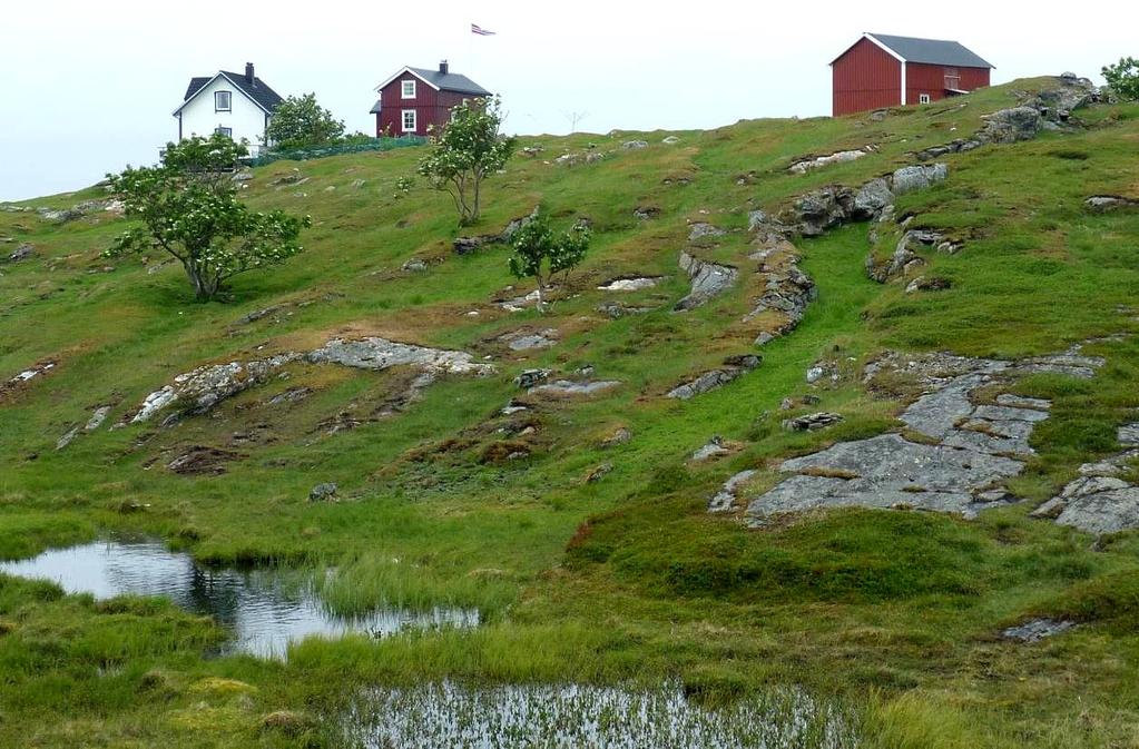 Bilde 3. Dyrøya sør.